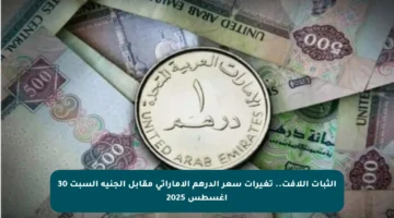 الثبات اللافت.. تغيرات سعر الدرهم الإماراتي مقابل الجنيه السبت 30 أغسطس 2025